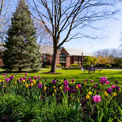 campus in the summer with flowers