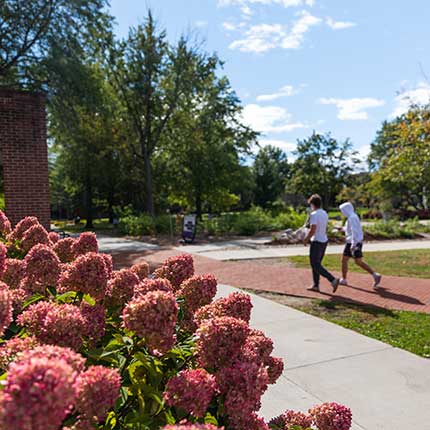 students walking on campus in full bloom