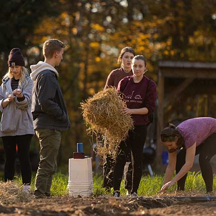 farm harvest